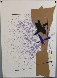 Image description is not available for FIM2015.396.3